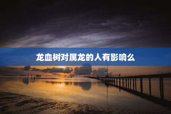 龙血树对属龙的人有影响么