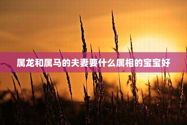 属龙和属马的夫妻要什么属相的宝宝好