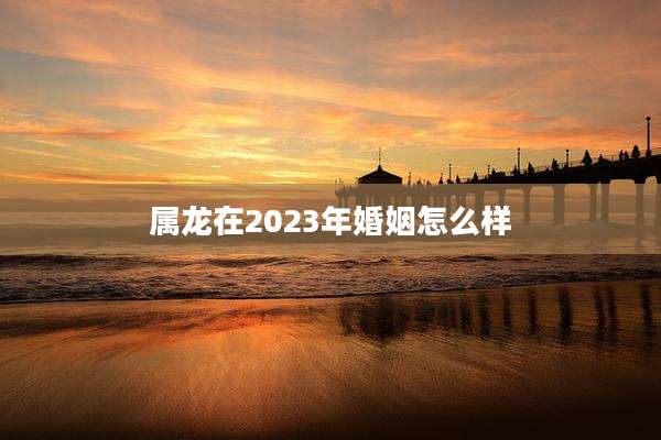 属龙在2023年婚姻怎么样