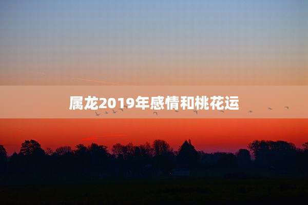 属龙2019年感情和桃花运