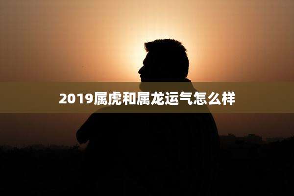 2019属虎和属龙运气怎么样