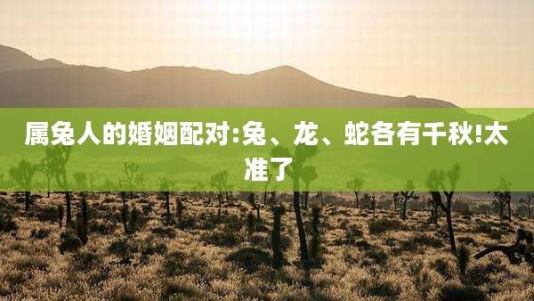 属兔人的婚姻配对:兔、龙、蛇各有千秋!太准了