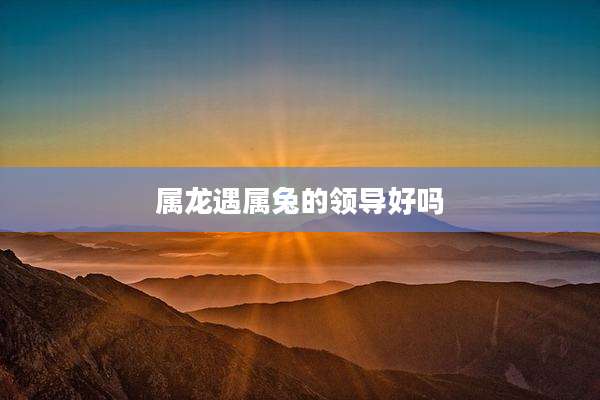 属龙遇属兔的领导好吗