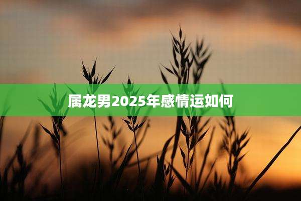 属龙男2025年感情运如何