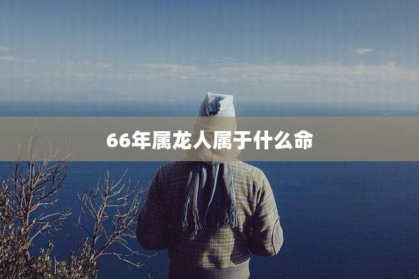 66年属龙人属于什么命