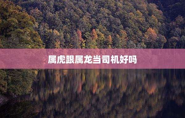 属虎跟属龙当司机好吗