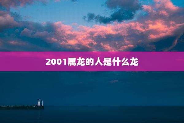2001属龙的人是什么龙