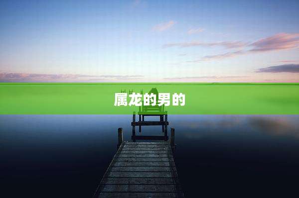 属龙的男的