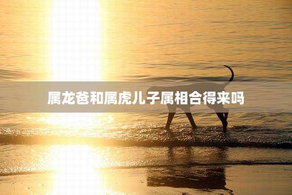 属龙爸和属虎儿子属相合得来吗