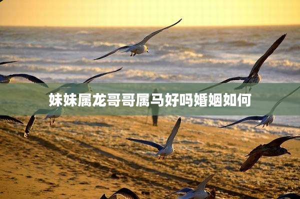 妹妹属龙哥哥属马好吗婚姻如何