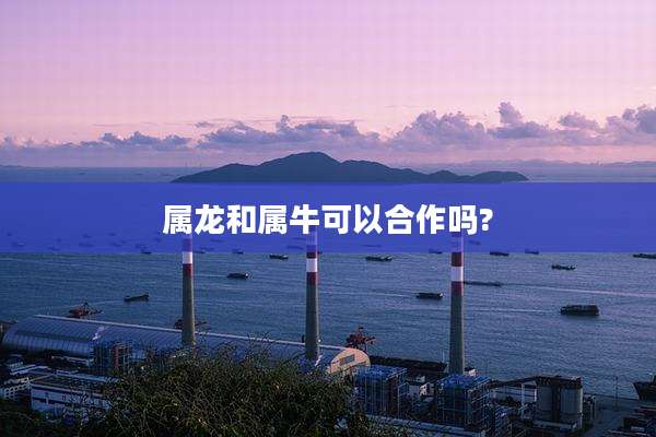 属龙和属牛可以合作吗?