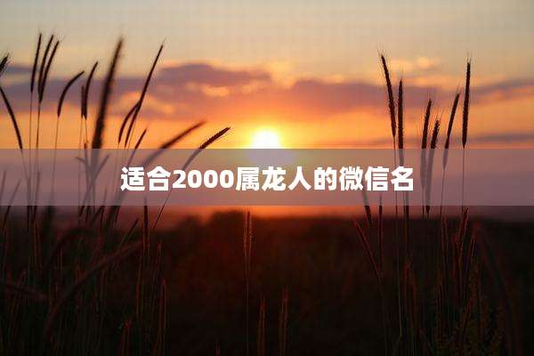 适合2000属龙人的微信名