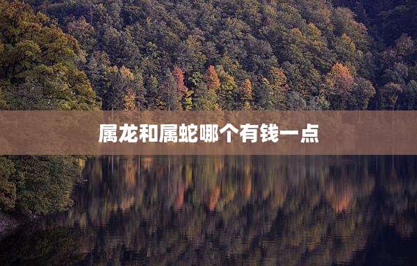 属龙和属蛇哪个有钱一点