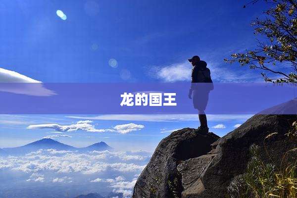 龙的国王