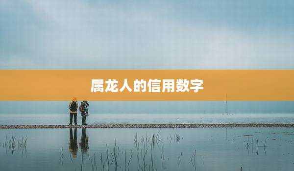 属龙人的信用数字