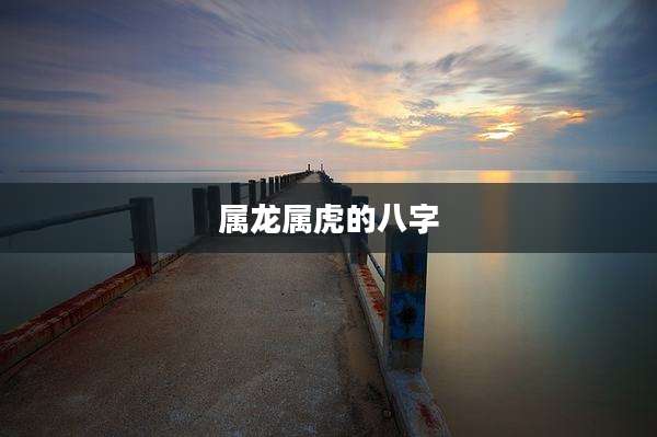 属龙属虎的八字