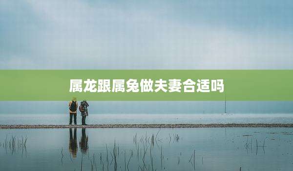 属龙跟属兔做夫妻合适吗