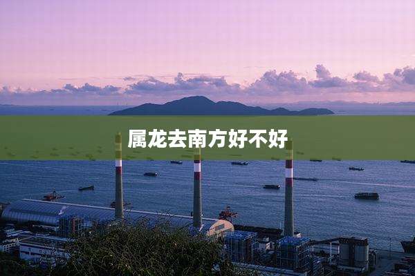 属龙去南方好不好
