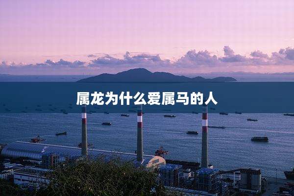 属龙为什么爱属马的人