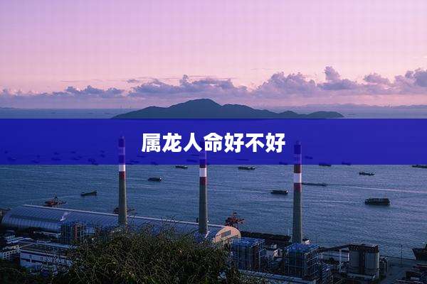 属龙人命好不好
