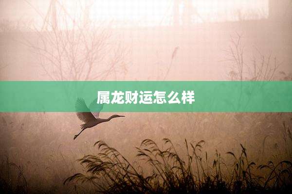 属龙财运怎么样