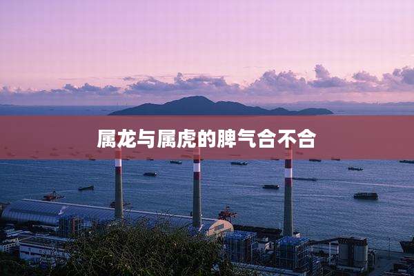 属龙与属虎的脾气合不合