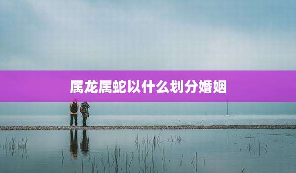 属龙属蛇以什么划分婚姻