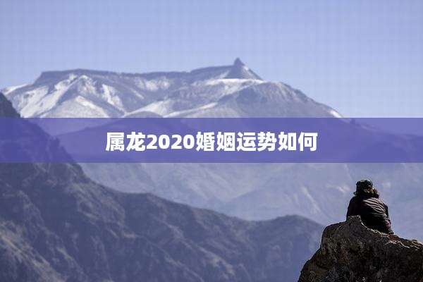 属龙2020婚姻运势如何