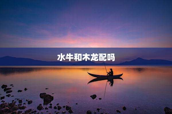 水牛和木龙配吗