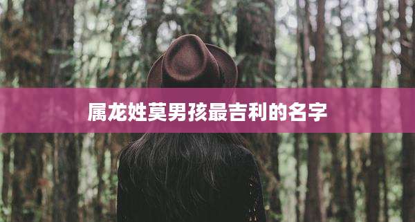 属龙姓莫男孩最吉利的名字