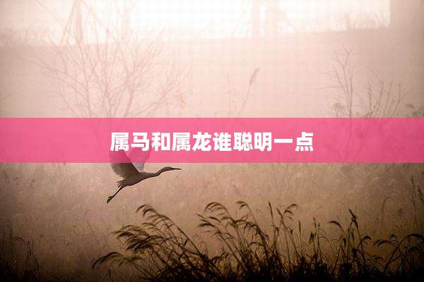 属马和属龙谁聪明一点