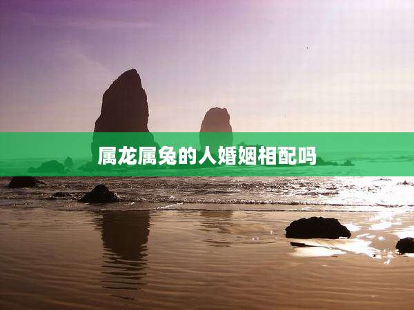 属龙属兔的人婚姻相配吗