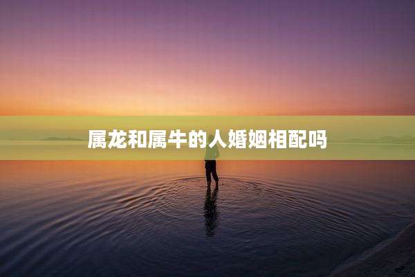 属龙和属牛的人婚姻相配吗