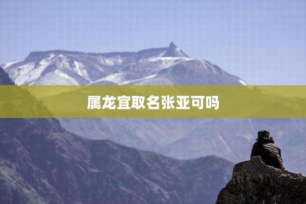 属龙宜取名张亚可吗