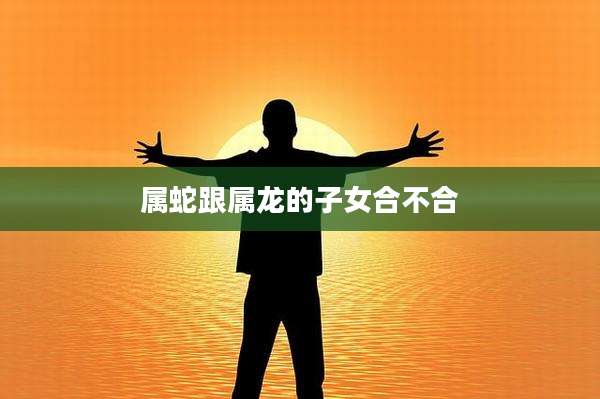 属蛇跟属龙的子女合不合