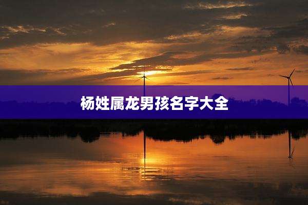 杨姓属龙男孩名字大全