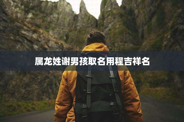属龙姓谢男孩取名用程吉祥名