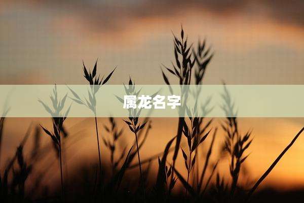 属龙名字