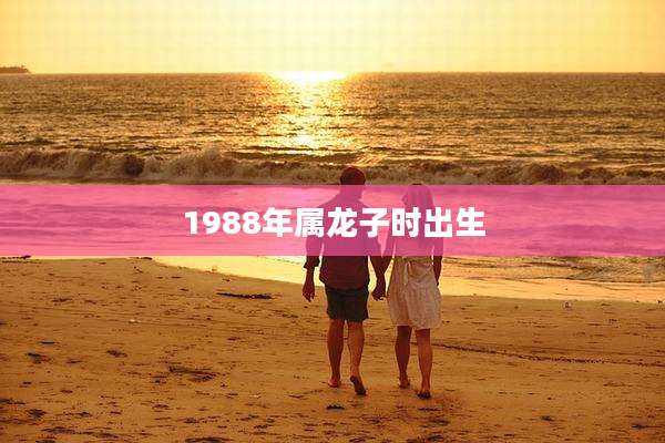 1988年属龙子时出生