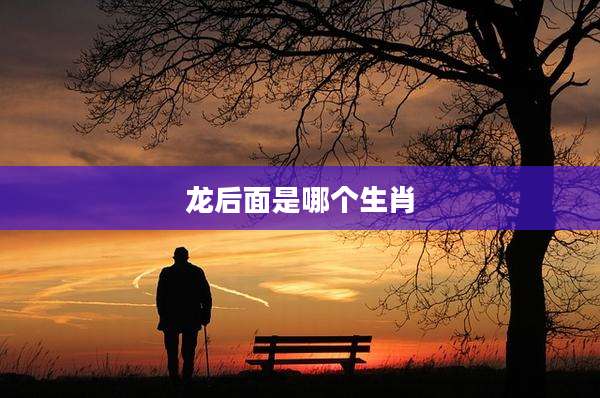 龙后面是哪个生肖