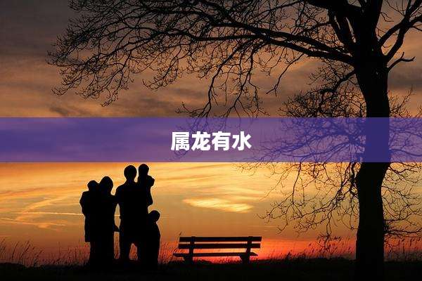 属龙有水