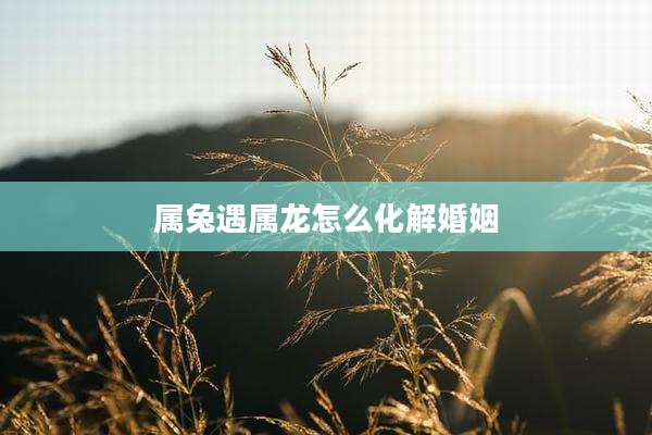 属兔遇属龙怎么化解婚姻