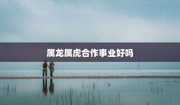 属龙属虎合作事业好吗