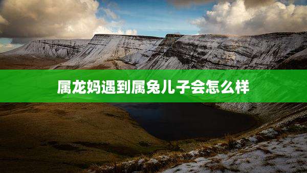 属龙妈遇到属兔儿子会怎么样