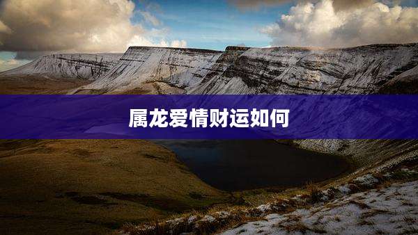 属龙爱情财运如何