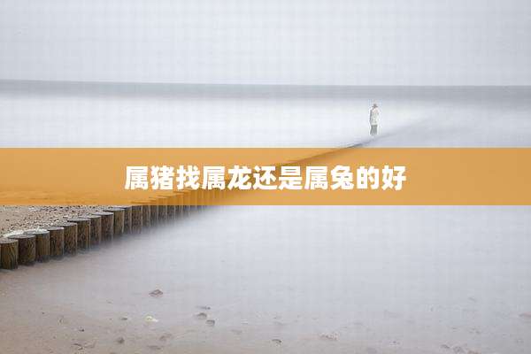 属猪找属龙还是属兔的好