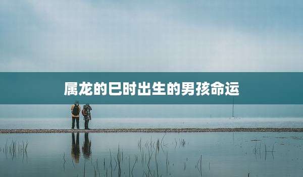 属龙的巳时出生的男孩命运