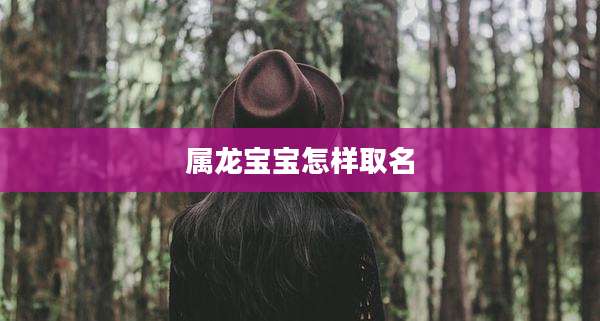 属龙宝宝怎样取名