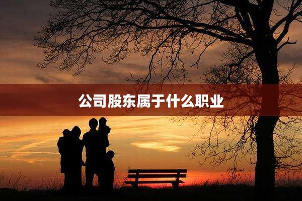 公司股东属于什么职业