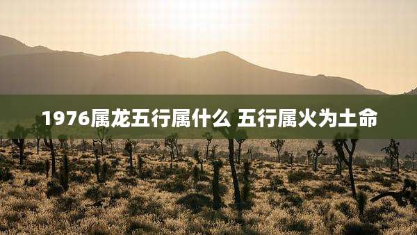 1976属龙五行属什么 五行属火为土命